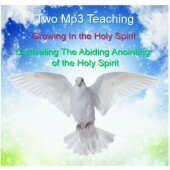 Growing in the Holy Spirit 